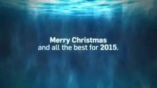 Pilot Fish Christmas 2014