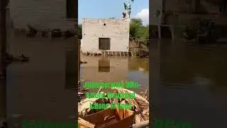 darye satluj hi flood