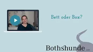 Hundebett oder Box - was ist besser?