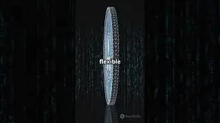 Ripple x Wormhole: XRPL Goes Multichain 🌉🚀 | Cross-Chain Crypto News