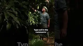 Type soil in the comments to get my new e-book