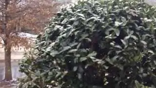 Snowing in Atlanta: Joint Venture authority ‪Muhammad Siddique‬