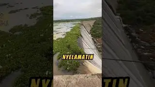 Cowo Ini Lagi NYELAMETIN Bendungan❗😮#air #videoviral #minuman