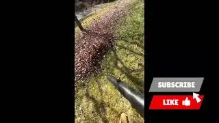 Best budget backpack blower 2026 - EASY leaf removal!