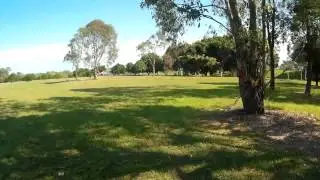FPV Meet - Tree limb crash // Blackout Mini H Quad // MT1306-10 // CC3D