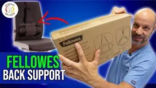Best Back Support For Desk Chair - Chiropractor Review