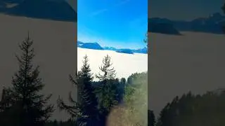 WINTER ADVENTURE: from FOG to SUN TRAIN RIDE to RIGI KULM 🏔️#switzerland#shotrs#ambience#train#wow