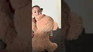 #uk #dudidudidam #babyshark #teddy #outfitoftheday #school #yputubevideo #bhartisingh #lol #heart