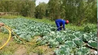 Mechanized irrigation in Rwanda (Africa)
