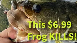 Обзор Scum Frog Bass Rat | Topwater Beast за $6,99!