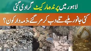 Lahore Bird Market Demolition Raises Serious Animal Welfare Concerns | 365 News
