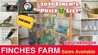 Finches Farm || SKM - Part - 2 ||  @mgbirdsworld