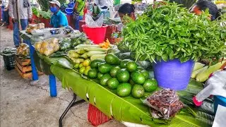 EN TAMPACÁN, RECORRIENDO EL TIANGUIS CAMPESINO. 🇲🇽
