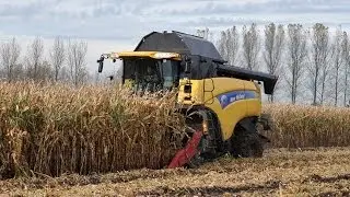 New Holland CX8090 on tracks - Loonbedrijf Neyt - mais dorsen 2013