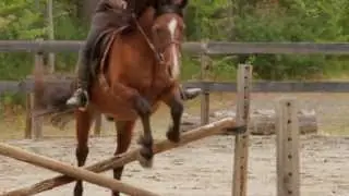 Equestrian Real Estate Video - Horse Shoe NC