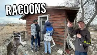 Exploring 3 Old houses (raccoons everywhere)