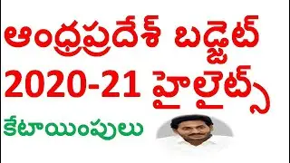Andhra Pradesh Budget 2020-21 Highlights In Telugu | ఆంధ్రప్రదేశ్ బడ్జెట్ 2020-21 హైలైట్స్