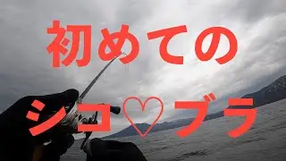 初めてのシコブラ