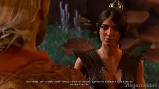 Baldur's Gate 3: Friendzone & reject Shadowheart romance