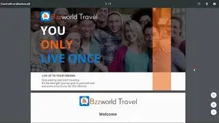 Bzzworld Travel - Marketing Materials Done for You