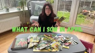What Can I Sow In April - Allotment Gardening For Beginners #allotment