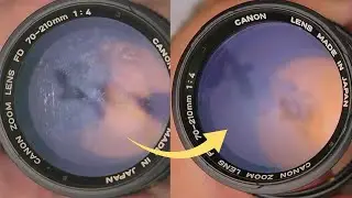How to clean fungus on an old lens