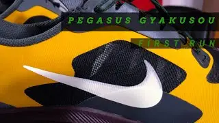 Nike Pegasus Gyakusou First Run | Worth the Upgrade???