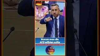 Warum man die AFD w&auml;hlen sollte | Ulrich Siegmund (AFD)