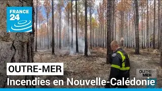 Nouvelle-Calédonie : des milliers d'hectares partis en fumée à cause des incendies • FRANCE 24