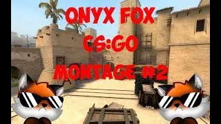 Onyx Fox CS:GO MONTAGE #2