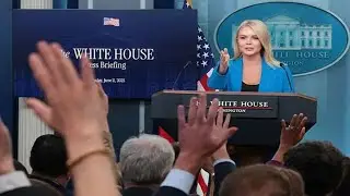 WH Press Secretary and Vice President Press Brief PLUS ACLJ Podcast (partial) 01.08.25