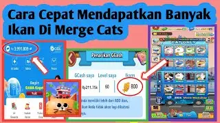 Cara Mendapatkan Ikan Di Merge Cats