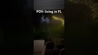 #LivingInFlorida #Florida #Thunder #Rainstorm #Rain #Flooding