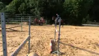Cobra d'Airsain
