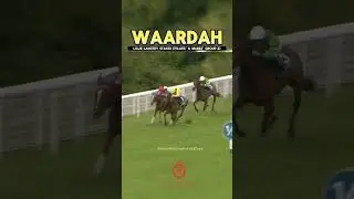 💛🖤WAARDAH - Wins The Lillie Langtry Stakes (Fillies' & Mares' Group 2)