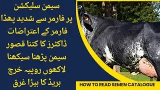 Semen catalogue aur farmer ki shikayaat II Semen catalogue and milk performance