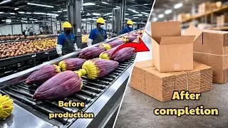 Inside a Modern Banana Blossom Processing Factory &ndash; A Production Process You&rsquo;ve Never Seen Before
