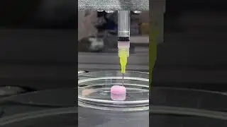 Collagen bio printing