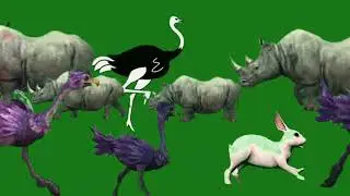 green screen animals stampede new 3d , cartoon #green screen #stampede#chroma #animals