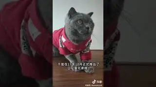 转发：美联储QE4来了