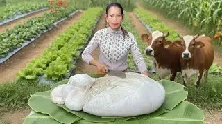 Cow Stomach Steamed Recipe | Beef Tripe Cooking | MUKBANG ASMR