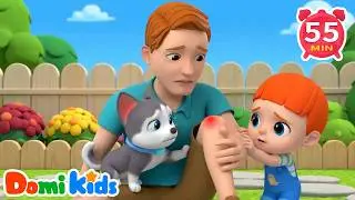 Daddy Got a Boo Boo🐈 | Sweet Family  Theme Learning Song | Nursery Rhymes & Kids Songs | Domi Kids