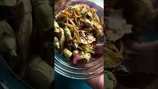 My Dried Herb Jar 🥀🌻🫙