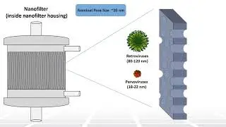 Viral Safety in Biomanufacturing Part 6 - Nanofiltration - Two Minute Tuesday Technical Training