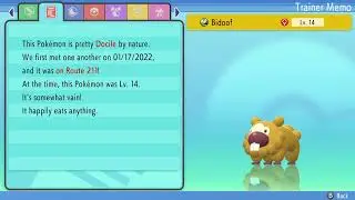 When you get Shiny Bidoof at a 17 chain