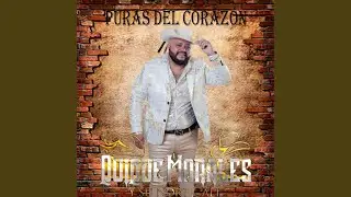 Puras del Corazón