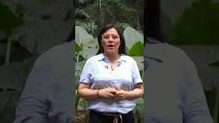 Lorena Quintero.  Coach Mentora de ECOA COLOMBIA