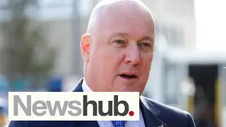 Luxon ordered, then cancelled, Tesla on taxpayer dime while slamming Govt's subsidy scheme | Newshub