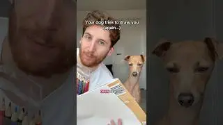 My Italian Greyhound Dog attempts to draw me 😳 #dog #italiangreyhound #funny