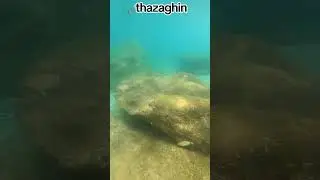 zi thazaghin